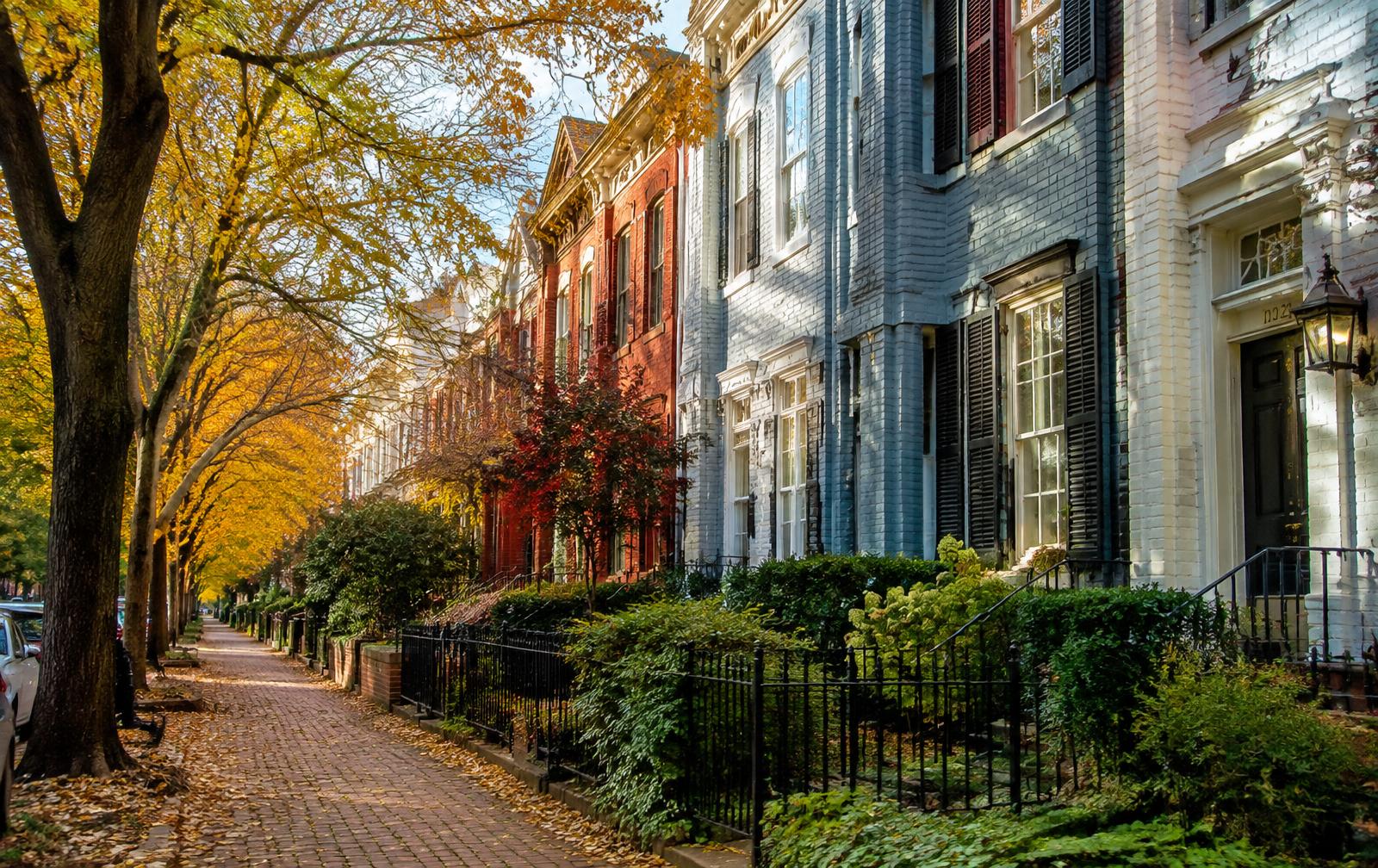 A tree-lined Washington, D.C. street of historic rowhouses